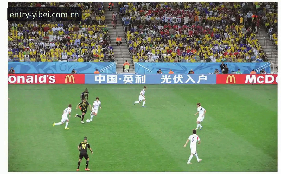 世界杯观赛危机深度评测：地缘政治与签证壁垒如何影响2026年赛事体验